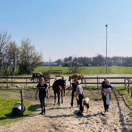 arbeidsgerichte dagbesteding leende